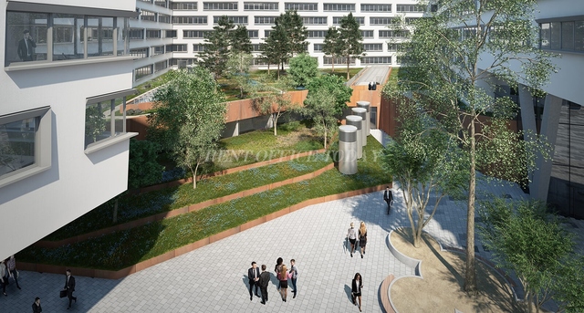 مكتب للايجار austria campus-1