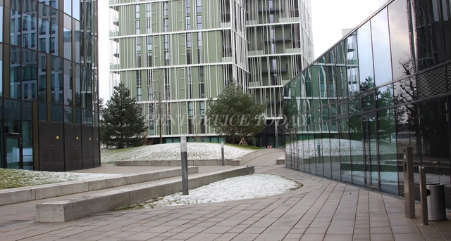office rent denk drei im viertel zwei-1