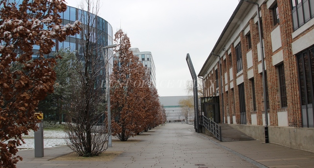 office rent denk drei im viertel zwei-1