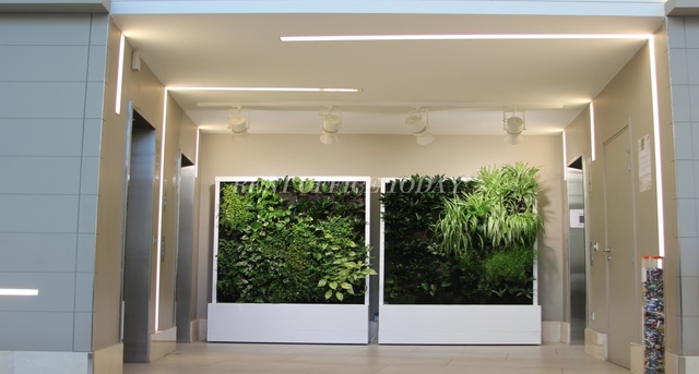 office rent le vivaldi-1