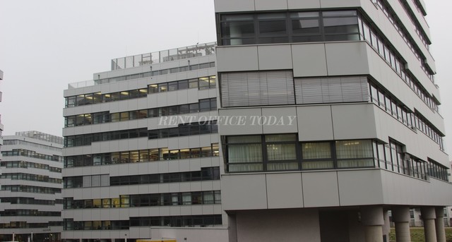 office rent marximum-1