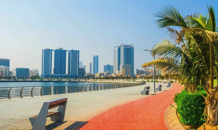 Rent office Ajman