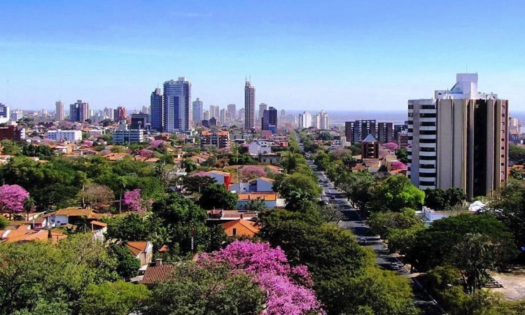 Rent office Asuncion