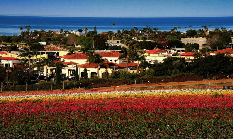 Rent office Carlsbad