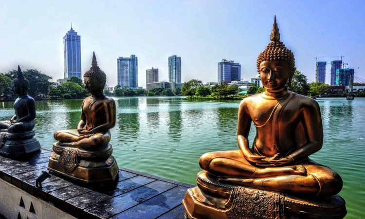 Kiadó iroda Colombo