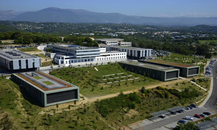 Alquiler oficinas Sofía Antipolis