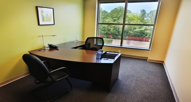 Kiralık Ofis - 1661 International Drive_4-1