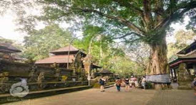 Rent office Jalan Monkey Forest_1-1