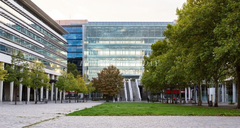 Office space | 8 Rue des Pirogues de Bercy-1