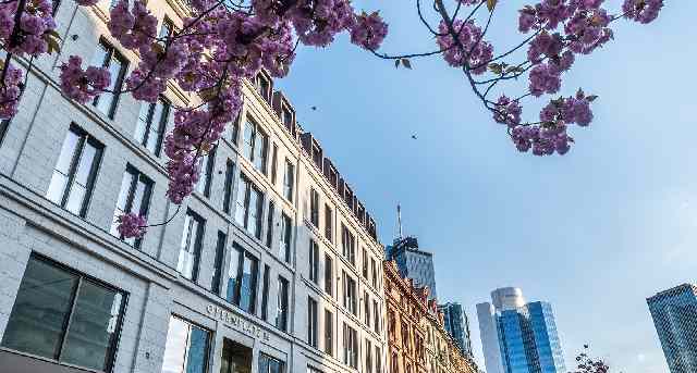 Rent office Opernplatz 14_1-1