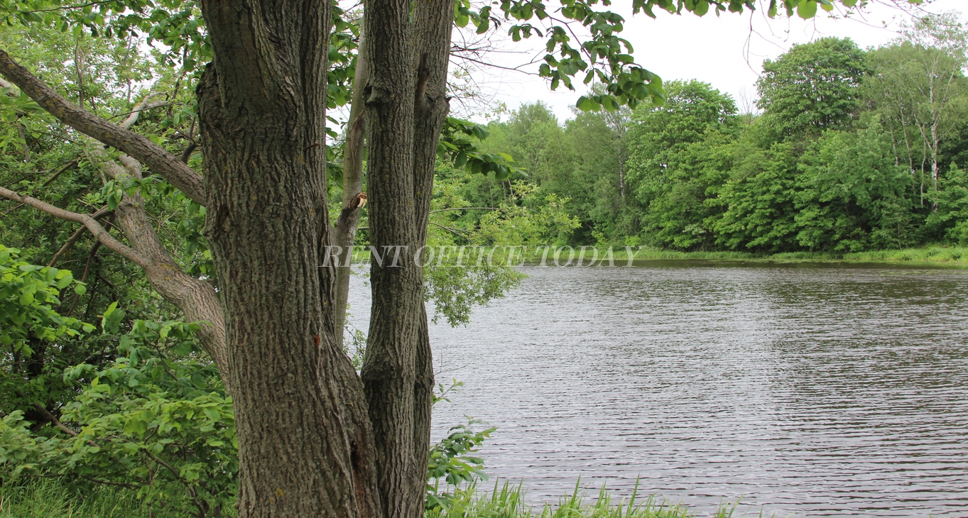 location de bureau h2o-12