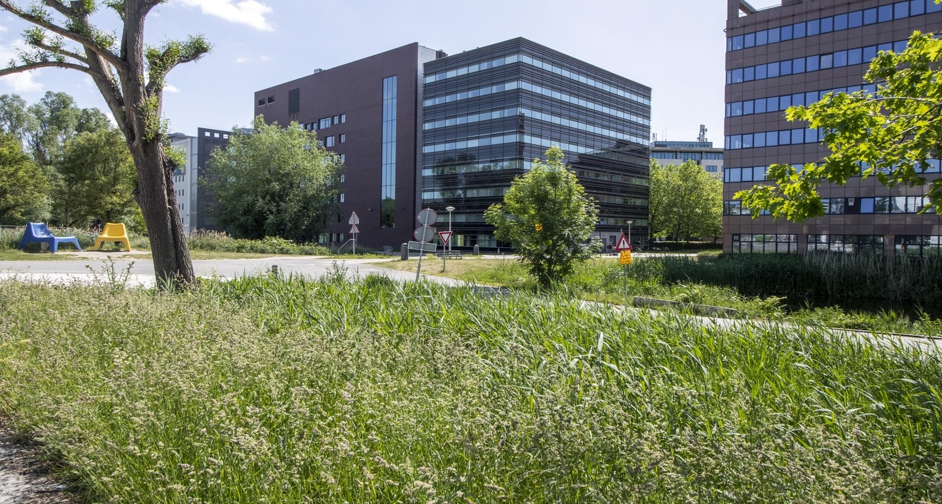 Centre d'affaires Hullenbergweg 278_6-6 Bureaux à louer Hullenbergweg 278_6-6