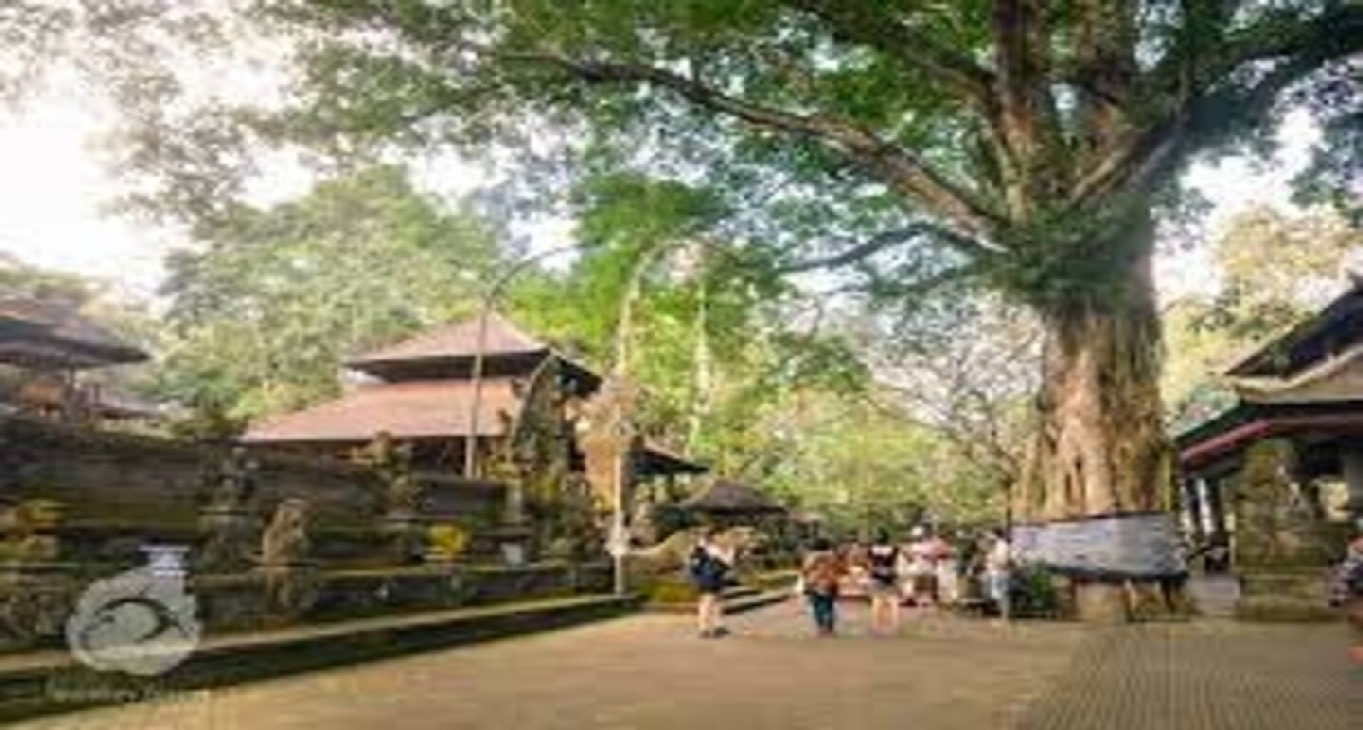Rent office Jalan Monkey Forest_1-1