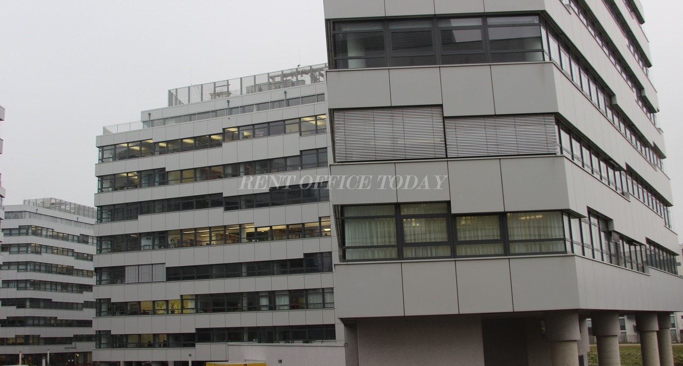 office rent marximum-3