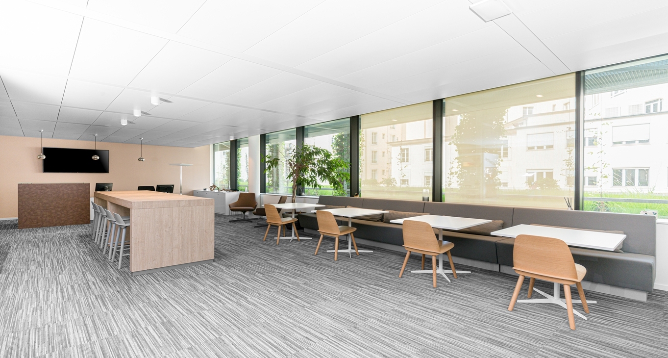 Business Center Rhone 8_6-7 Rent office Rhone 8_6-7